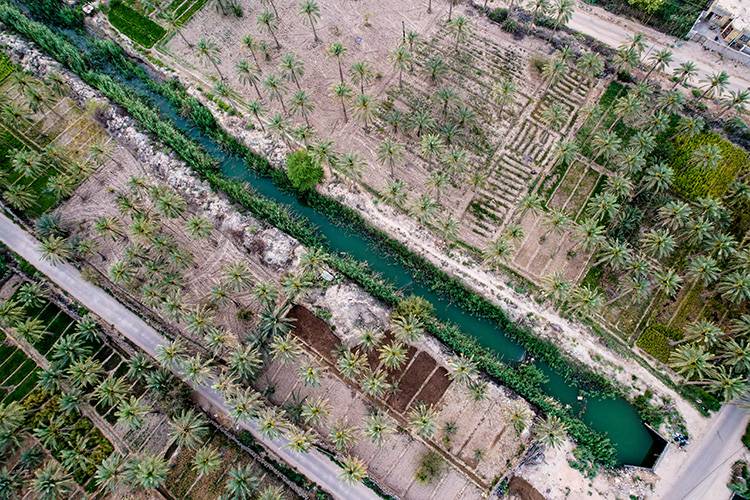 Hurma paketindeki plastik çubuğun sırrı ortaya çıktı! Bakın ne işe yarıyormuş 6